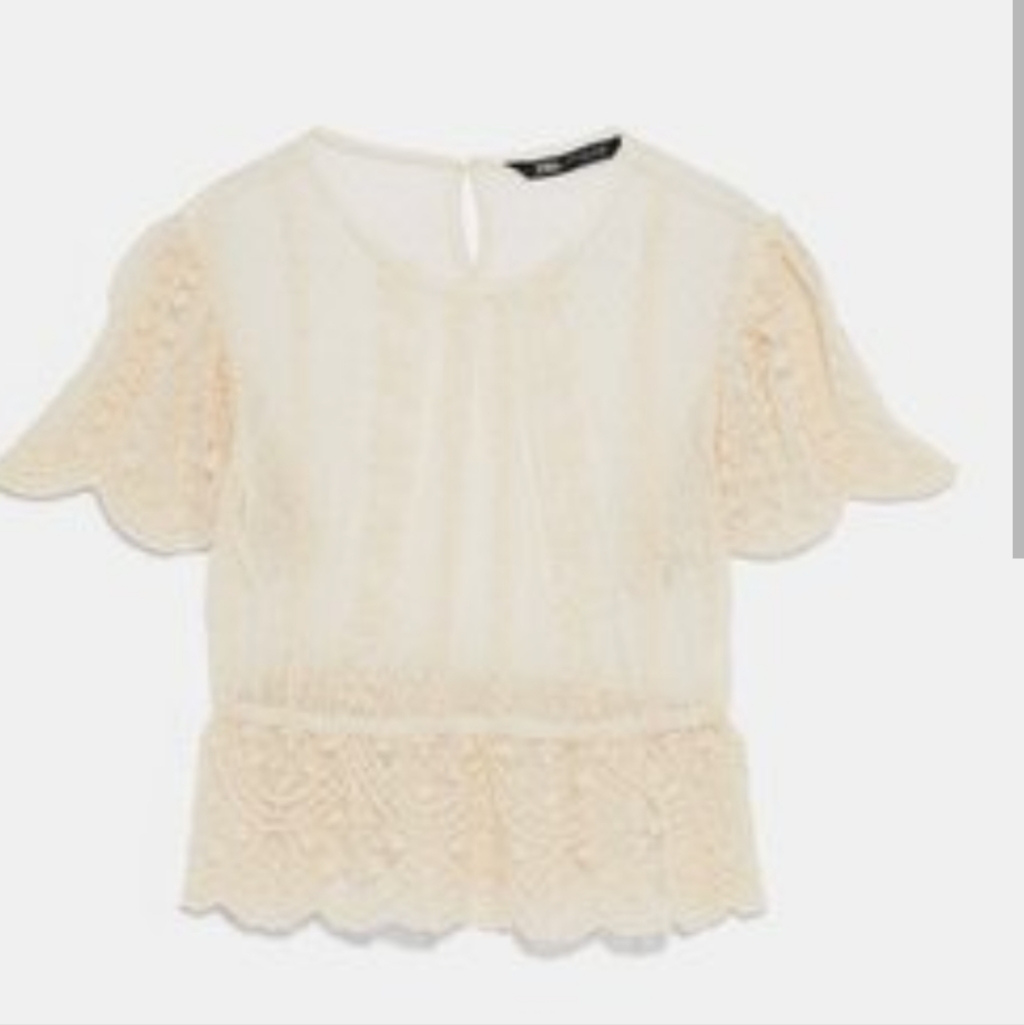 Zara Chic Ivory Lace Top